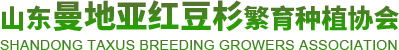山东曼地亚红豆杉logo