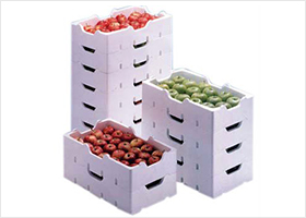 蔬菜水果保鲜箱