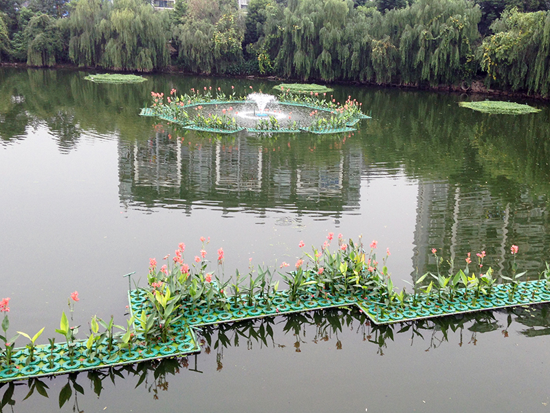 杭州市拱墅區羅家斗河水體生態修復工程