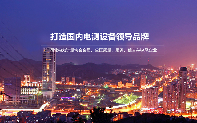武汉南星电力科技有限公司